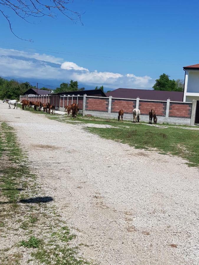 Solnechny Bereg Guest House Gudauta Exterior foto